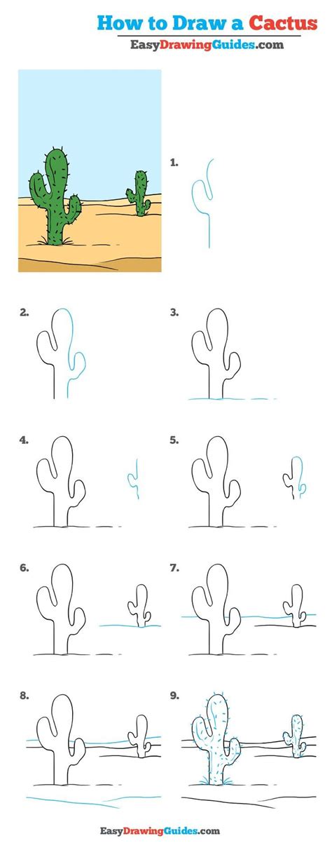 How To Draw A Cactus Really Easy Drawing Tutorial Drawing Tutorial Easy Landscape Drawing