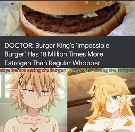 Impossible Burger Meme Subido Por French Eater Memedroid