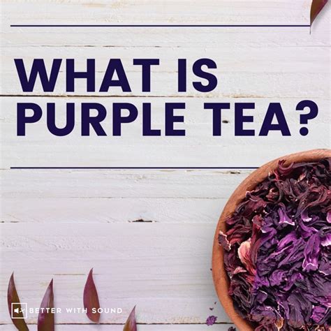 What Is Purple Tea Purple Tea Benefits INFOGRAPHIC Video Video