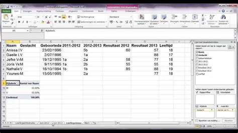 Verdeling Van Een Variabele In Excel 2010 Traject Datagebruik YouTube