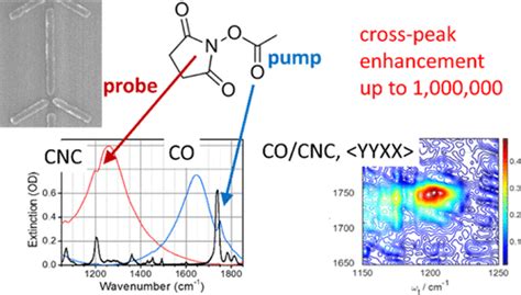 Plasmonic Trimers For Dual Frequency Surface Enhanced Two Dimensional Infrared Spectroscopy The