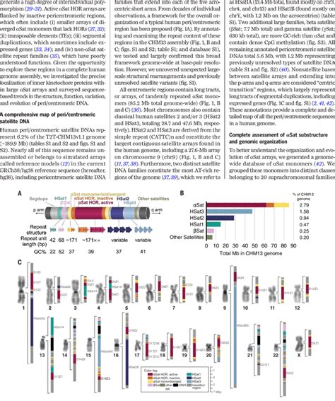 Overview Of All Peri Centromeric Regions In CHM13 A Schematic Of A