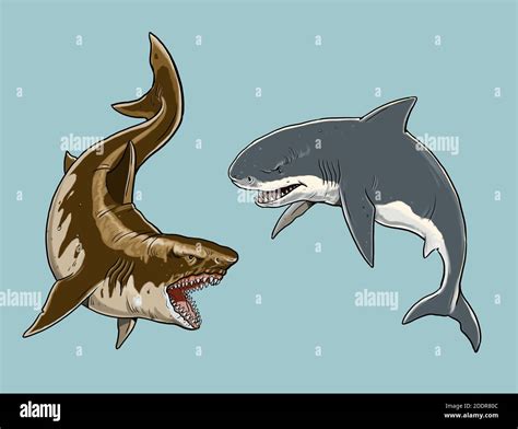 Giant tiger and white sharks. Big shark drawing. Monster megalodon ...