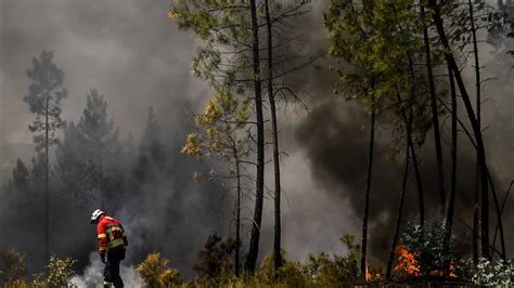 1 400 Menschen bei Waldbränden in Portugal evakuiert SN at