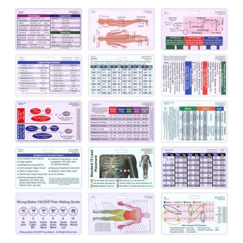 Comprehensive Horizontal Badge Card Set Cards For Id Badge Clip