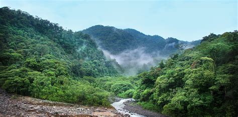 1 400 000 Kostenlose Natur Regenwald Und Regenwald Bilder Pixabay