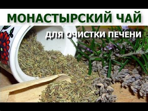 Печеночный сбор (сироп): монастырский чай для очистки печени