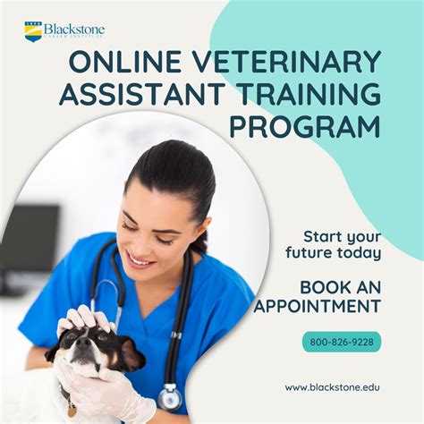 Online Veterinary Assistant Training Program Artofit