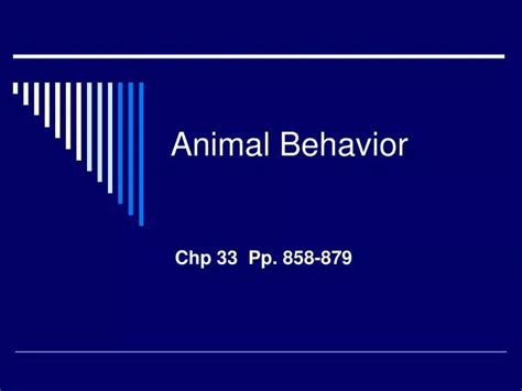 Ppt Animal Behavior Powerpoint Presentation Free Download Id1087455