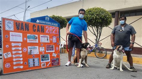 Lima Norte M S De Mil Perros Fueron Protegidos En Avance De La