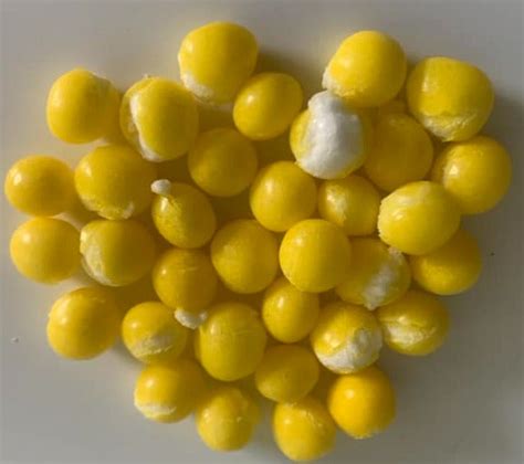 Freeze Dried Lemonhead Landens Lemon Heads Oh Sweet Jesus Treats