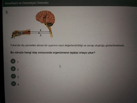 Bu Soruyu Zebilir Misiniz Eodev