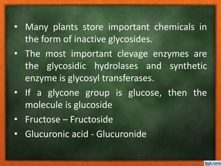 Glycosides | PPT