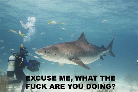 FUCK XNXX Adult Forum