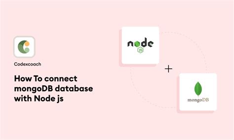 How To Connect Mongodb Database With Node Js Codexcoach