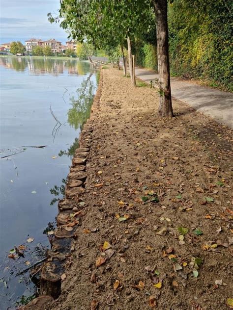 Laghi Di Mantova Proseguono I Lavori Di Consolidamento Delle Sponde