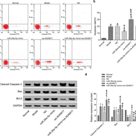 Mtt And Ldh Detection Of Cell Viability In Each Group A Mtt Was Used