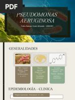 Antibioticos Para Pseudomona - Antibióticos para Pseudomonas en neumonía | PDF | Neumonía ...