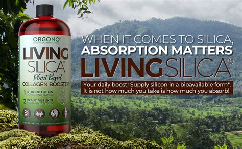 Orgono Living Silica Plant Based Collagen Booster – Synergy