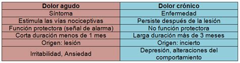 El Dolor La Acupuntura Y El Manejo De Algunos S Ndromes Dolorosos