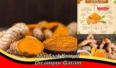 Temukan Manfaat Kunyit Campur Garam Yang Jarang Diketahui Biotifor