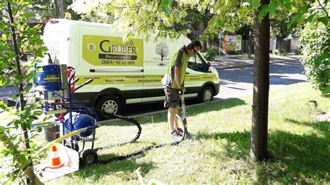 Baumservice Gruber Natur Im Garten