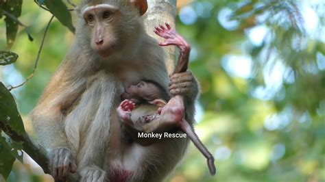 New Mother Katrina Didnt Eat Food Until Tired To Breastfeed Milk