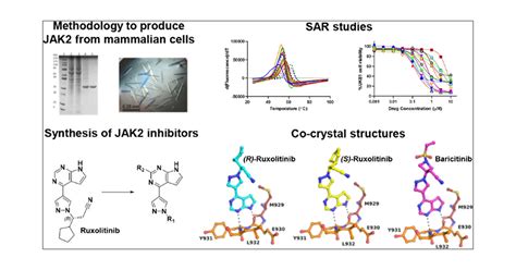 Structural Insights Into JAK2 Inhibition By Ruxolitinib Fedratinib