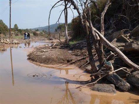 1 out of 3 rivers in Iberian Peninsula (Spain) is affected by ...