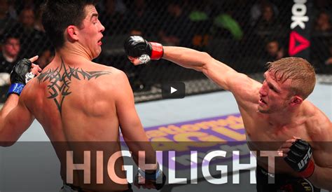 T.J. Dillashaw vs. Dominick Cruz - UFC Fight Night Highlights