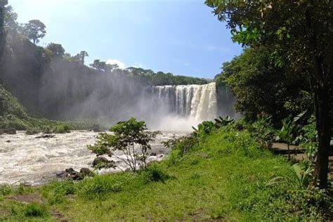 Cacada El Salto De Eyipantla Todo Lo Que Debes Saber