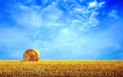 Hay Field Wallpapers - Top Free Hay Field Backgrounds - WallpaperAccess