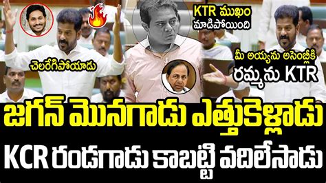 అసెంబ్లీలో చెలరేగిపోయిన రేవంత్ రెడ్డి🔥🔥 Cm Revanth Reddy Powerful