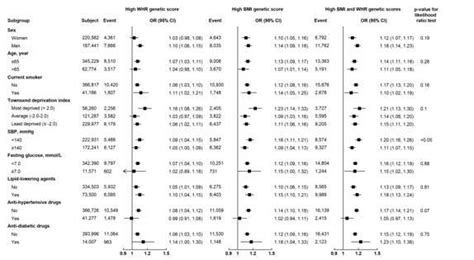 Association Of Exposure To Higher BMI And WHR Genetic Score With