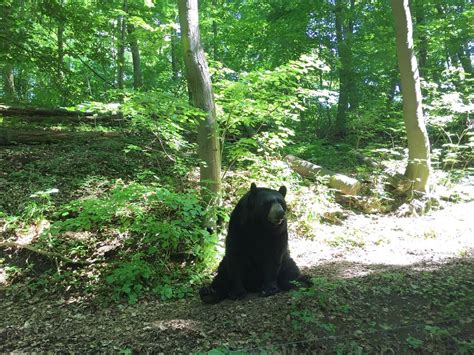 Worbis, Germany: All You Must Know Before You Go (2024) - Tripadvisor