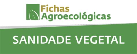 Sanidade Vegetal Ministério da Agricultura e Pecuária