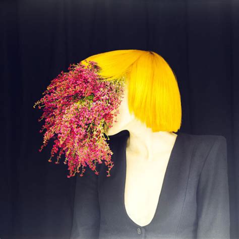 It S A Blonde Story Photo