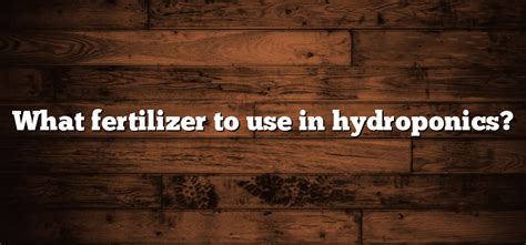 What fertilizer to use in hydroponics? - Inter Culturalu