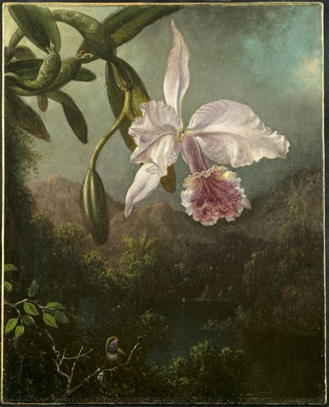 Orchid Blossoms Martin Johnson Heade Artwork On Useum