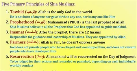 Shia Muslim: Shia Beliefs