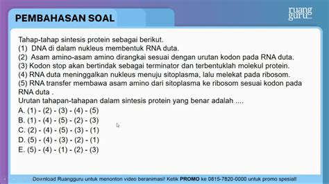 Urutan Tahapan Sintesis Protein Sinau