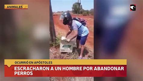 Escracharon A Un Hombre Por Abandonar Perros V Deo Dailymotion