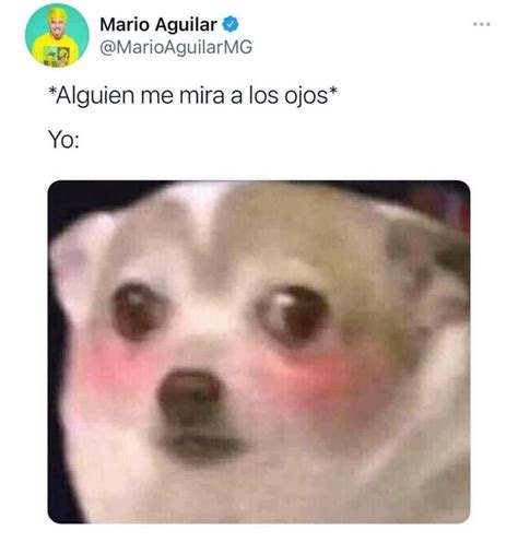 Pin De Melanie En Memes Varios Memes Memes Divertidos Chistes Graciosos