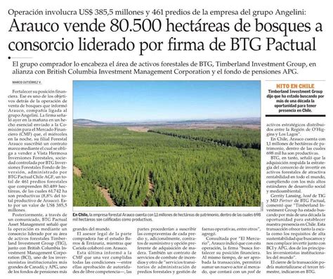 Arauco Vende Hect Reas De Bosques A Consorcio Liderado Por Firma