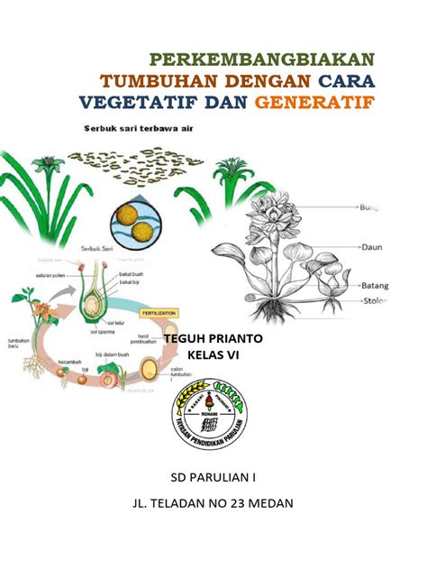 Perkembangbiakan Tumbuhan Dengan Cara Vegetatif Dan Generatif Pdf