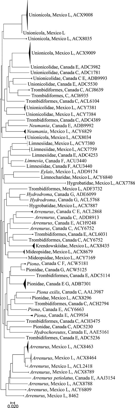 Improved Protocols To Accelerate The Assembly Of Dna Barcode Reference