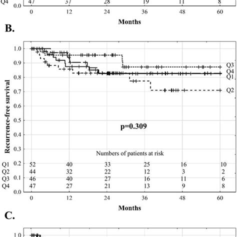 Recurrence Free Survival Of Hepatocellular Carcinoma Patients After Download Scientific Diagram