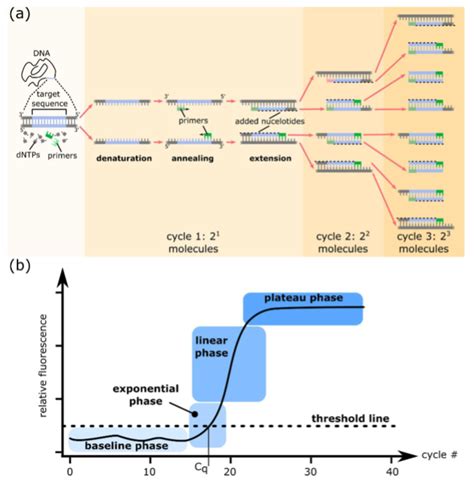 Get To Know Gene Expression Analysis Science