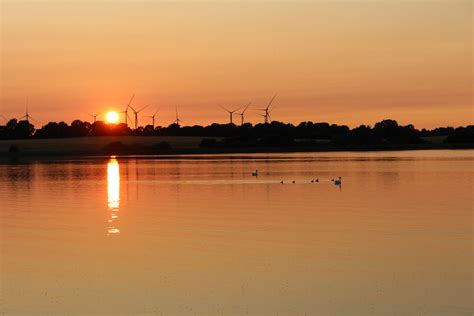 Schw Ne Beim Sonnenuntergang Hans J Rgen B Ckmann Flickr