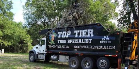 Tree Removal Permit | Gainesville, FL Regulations Guide